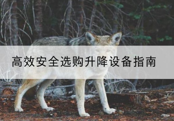 辰溪升降货梯厂家推荐-*安全选购升降设备指南