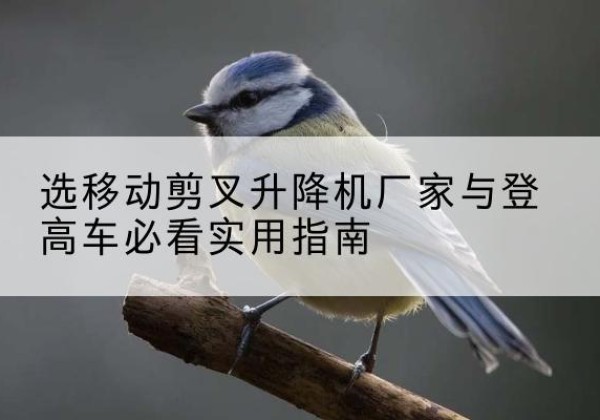 辰溪电动升降机厂家-选移动剪叉升降机厂家与登高车必看实用指南
