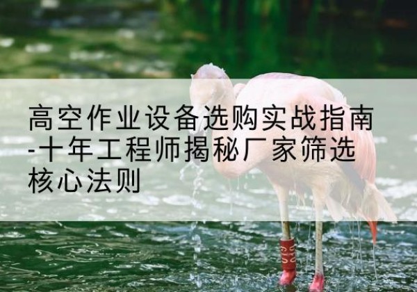 辰溪剪叉式升降机厂家-高空作业设备选购实战指南-十年工程师揭秘厂家筛选核心法则